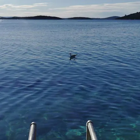 Goga アパート セヴィド